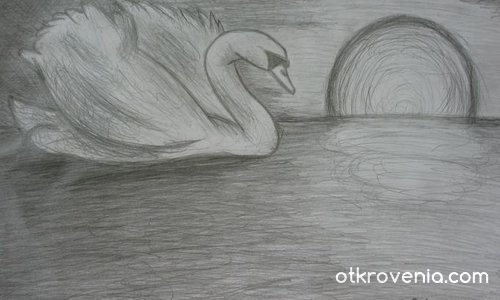 swan