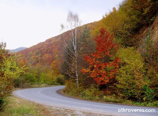 Път през есента