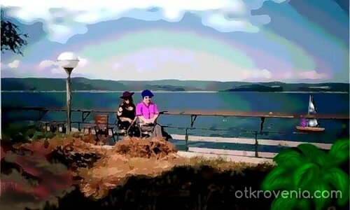 Щъркелово гнездо