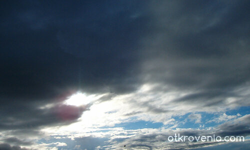 Птица,бягаща от бурята