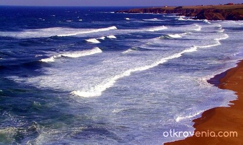 "Зайчета" в морето, вълни - на брега!