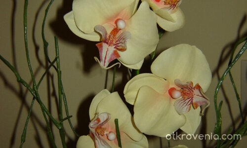 Изкуствени цветенца