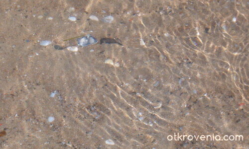 ах морето .. какво спокойствие лъха ..