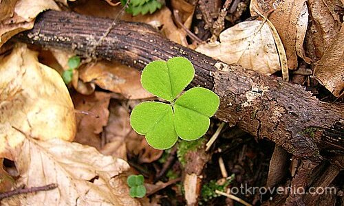 Да бъдеш различен(2)