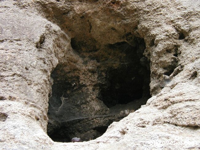 Домът на паяка