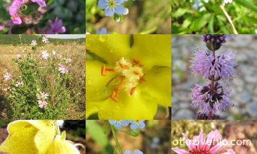 леко сбъркана речна композиция