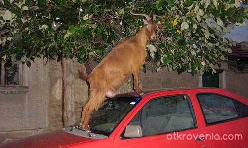 Малко хумор в събота вечер...:) на някой обаче не му е смешно...