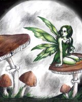 illusion (Мая Петкова)