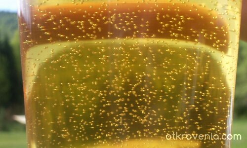 Бирена палитра