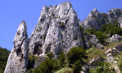 Скала Монах