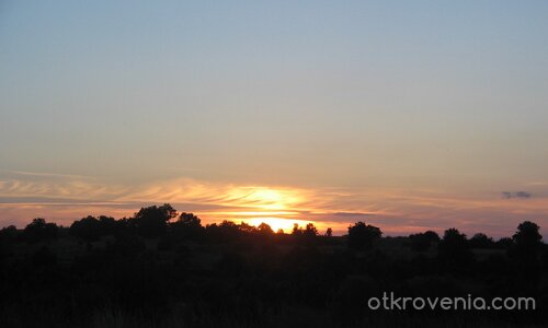 Меланхолия