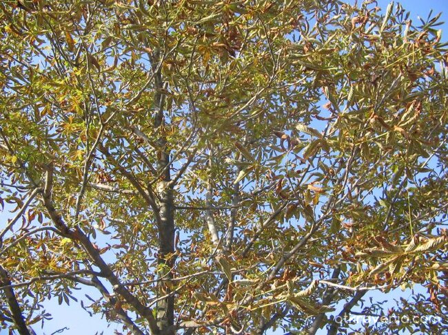 Краят на лятото