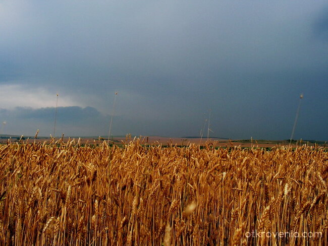 Преди бурята