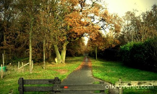 С техниката до тук