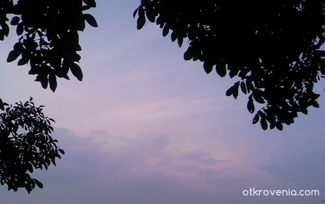 Лилаво небе