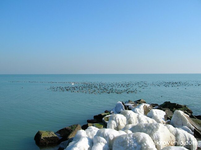 Принцесата и нейните слуги