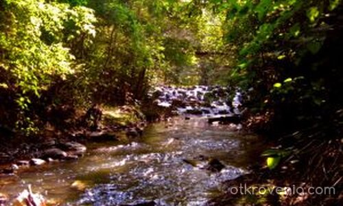 есента през очите на гората ...