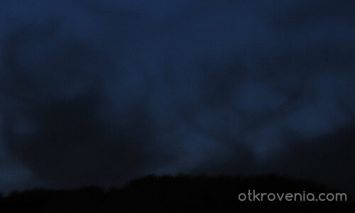 Пипала на мрака