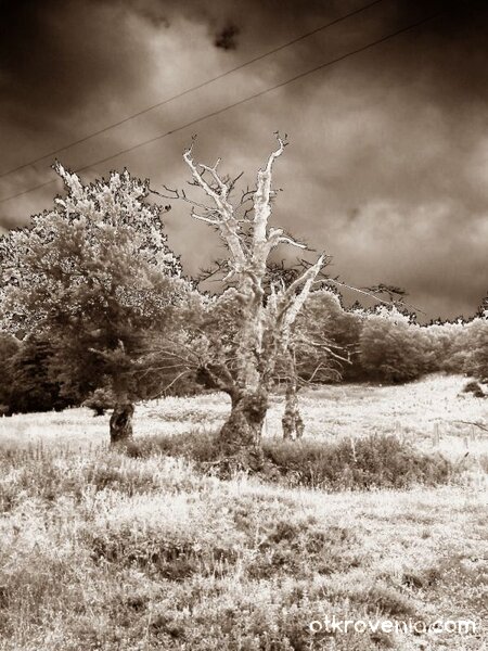 Кое ще издържи на бурята?