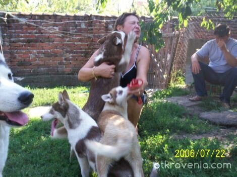 Любов ли бе да я опишеш...