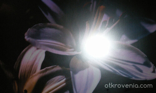 Домът на светлинката