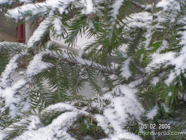 снежна красота