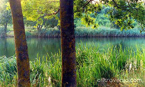 душата в мен