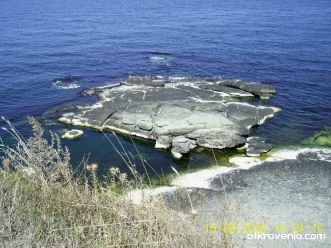 Морска Красота