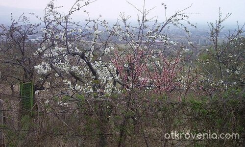 Пролетни нюанси