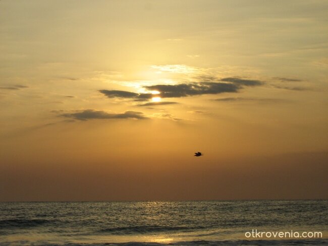 Винаги ще има "Джонатановци"