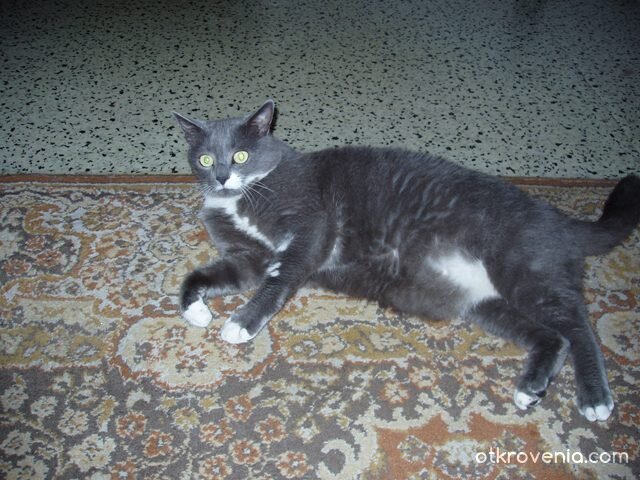 Опънала се е