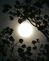 malkoto_zlo_f (Петя Карачанова)