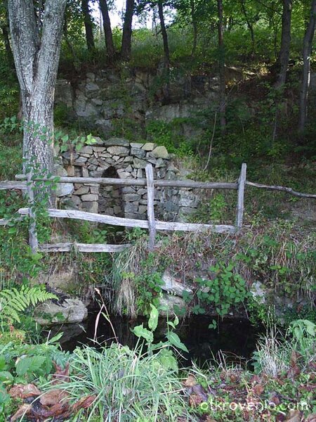 T Muid Beo (Духът на келтите)