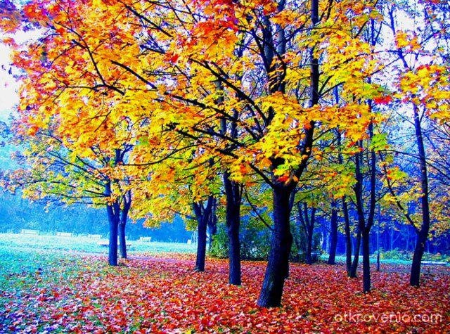 Есен в парка