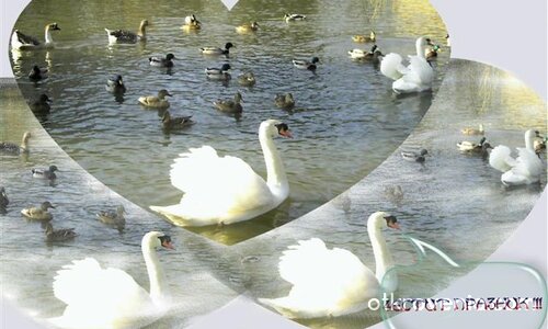 Честит Празник