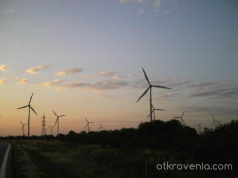 От тях потича живот.