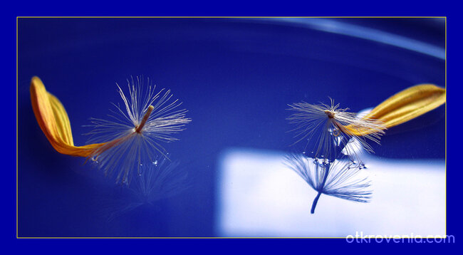 Крехки отражения