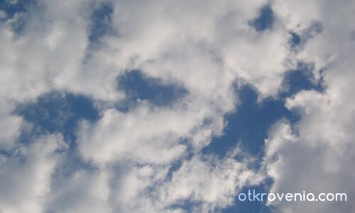 Захарен памук