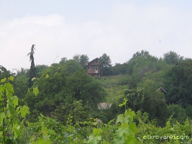 Домът на самотата