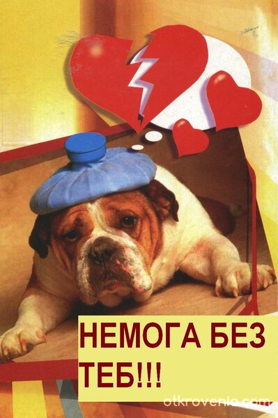 Куче със сърце