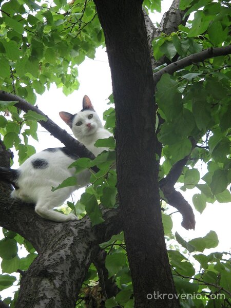 Оставете ме на мира!