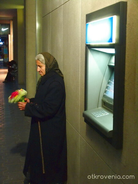 цветя за пари!?