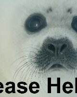 angel_of_light (Димитрина)