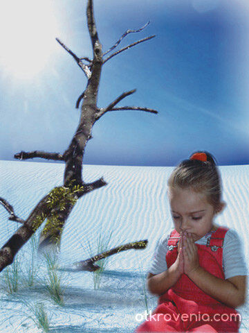 Корени без дървета