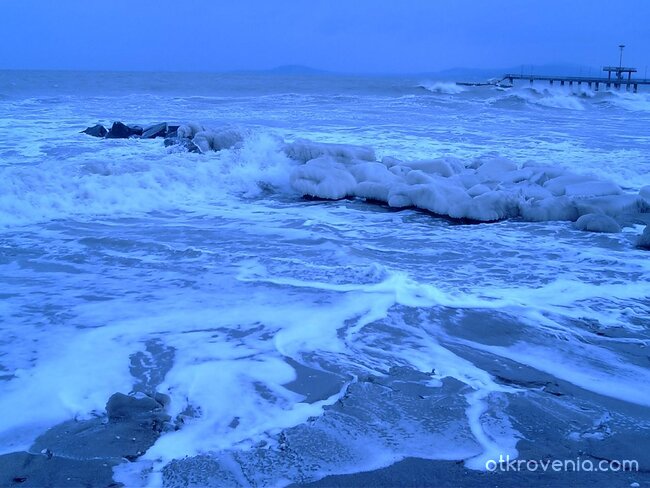 Студен порив