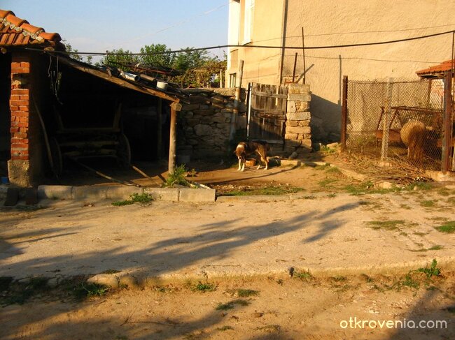 Селски двор, от слънце огрян