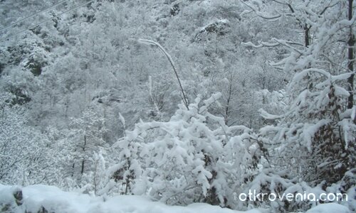Снежна приказка