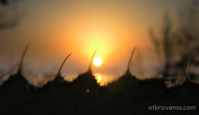 Не съм твоята закуска, Драги...